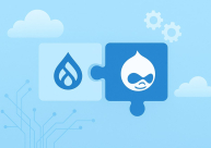 Acquia Source